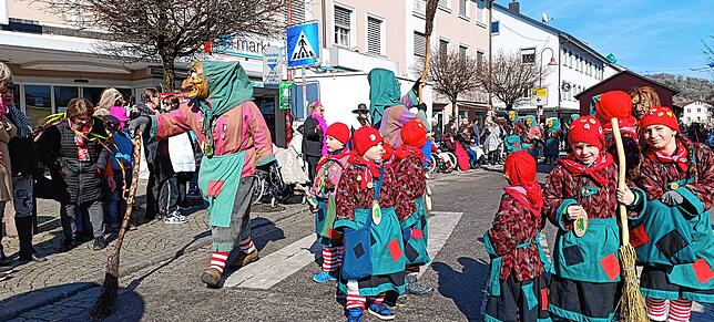 Bild 14: Die besten Fotos vom Fasnetsumzug in Tiengen