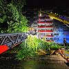Zwei umgestürzte Bäume haben in der Rielasinger Straße in Singen für große Schäden gesorgt.