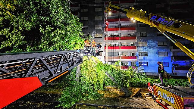 Zwei umgestürzte Bäume haben in der Rielasinger Straße in Singen für große Schäden gesorgt.