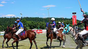 Rasant, blitzschnell und wild geht es am vergangenen Wochenende beim Poloturnier in Sylvenstal her. Die Teams spielen auf dem großen ...