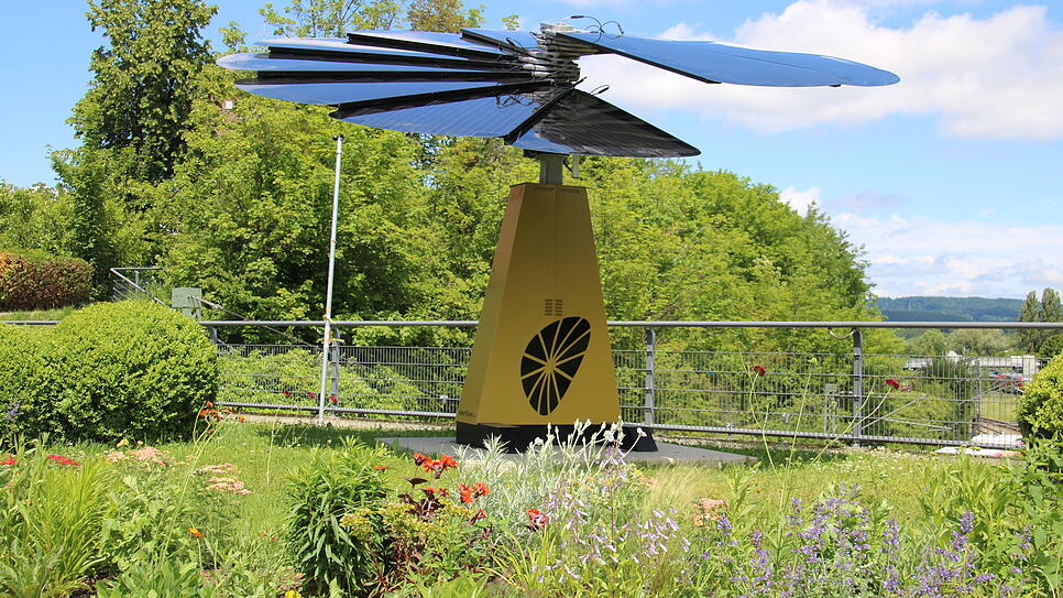 Die Stadtverwaltung hat sich Gedanken gemacht: An der Solarblume auf der Mettnaubrücke wurden Stauden gepflanzt, die auch bei ...