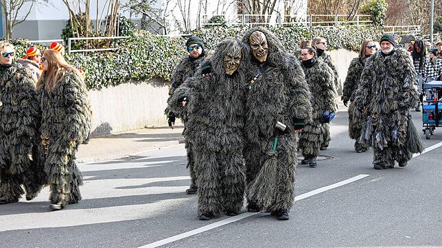Bild 10: Seenarrentreffen in Dettingen: Auf dem Dorfplatz steht jetzt der Narrenbaum