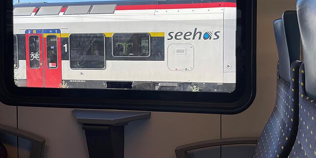 (Archivbild) Rund 5000 Menschen sind 2024 bei Kontrollen im Seehas ohne gültigen Fahrschein erwischt worden.