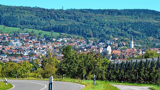 Markdorf ist in den vergangenen Jahren stark gewachsen. Wo lässt sich heute noch bauen? Dies war ein zentrales Thema der jüngsten ...