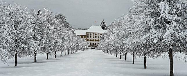 Bild 20: Das kommt so bald nicht wieder: Neue Bilder aus dem Winterwunderland rund um Überlingen und Salem