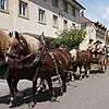 Bild :