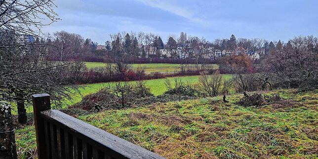 Vom alten Anwesen aus geht der Blick ins Grün des Hockgrabens. Im Hintergrund ist die Mainaustraße in Allmannsdorf erkennbar.
