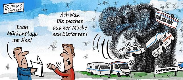 Sie sirren und pieksen: Allerdings kann ja prinzipiell schon ein einziger klitzekleiner Blutsauger den Spaß im Freien vermasseln.
