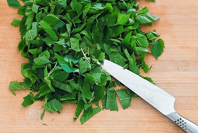Bild 2: Giersch &ndash; ein Unkraut? Von wegen! Dieses leckere Pesto-Rezept ist nur eine Verwendungsmöglichkeit