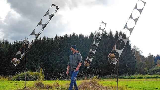 Auf dem acht Hektar großen Gelände von Neue Kunst am Ried in Ruhestetten können sich auch die Kunstwerke der Galerie Kunstkonvent gut ...