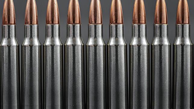 Einige Straftaten kommen in der Gerichtsverhandlung zur Sprache: Der Verurteilte hatte beispielsweise Munition für ein Maschinengewehr ...