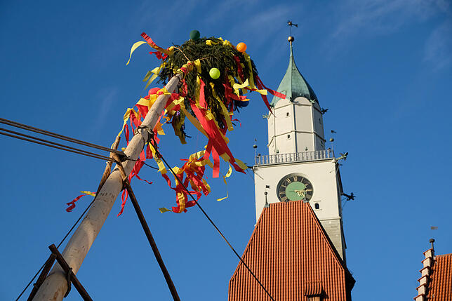 Bild 6: Jubiläums-Löwen, grantige Pudel und so viele schöne Mäschgerle: So wunderbar war die Fasnet in Überlingen
