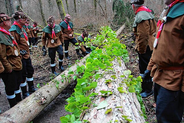 Bild 8: Die spektakulären Narrenbaum-Momente aus dem Altbohlwald: Holzhauer der Narrizella Ratoldi schlagen zu