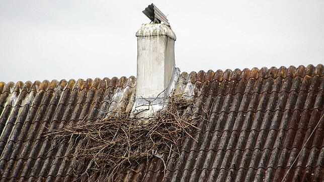 Vier Kamine hat diese ehemalige Hofstelle in Mindersdorf. Zwei sind bereits mit Nestern belegt. Franz Schmidt als Eigentümer hat nichts ...