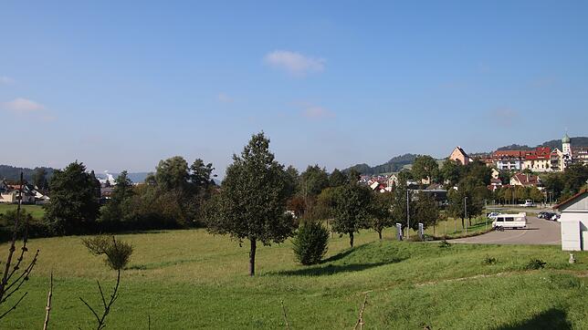 Blick von der Dillstraße auf den Bereich des zukünftigen Aachparks in dem unter anderem das grüne Klassenzimmer einmal entstehen soll. ...