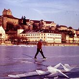 Die Seegfröne 1963 vor Meersburg. Bild: Walter Baerens