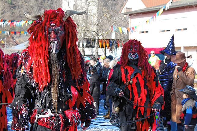 Bild 27: Fasnacht-Umzug 2025 in Wutöschingen: 41 Gruppen bringen viel Freude