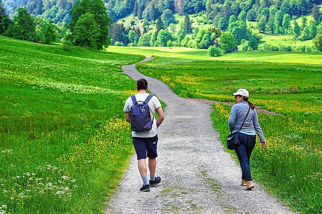 Durch blühende Wildwiesen kann man bei Menzenschwand zu den Wasserfällen wandern.