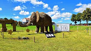 Firmen, Vereine und Einzelpersonen werden auch in diesem Jahr wieder Figuren aus Stroh für die Freiluftausstellung anfertigen.