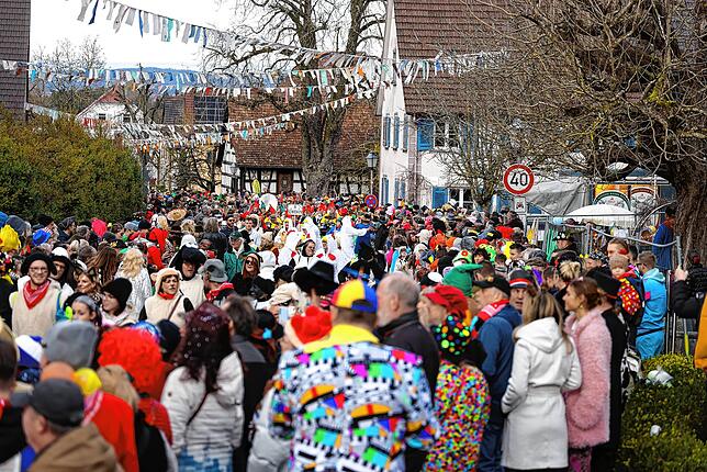 Bild 15: Bilder vom Höriumzug in Bankholzen