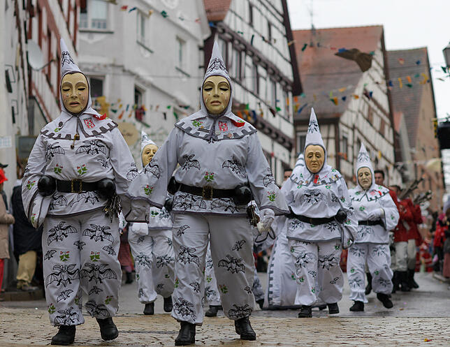 Bild 17: Tausende Hästräger und Musiker in Pfullendorf: Bilder vom Umzug (3)