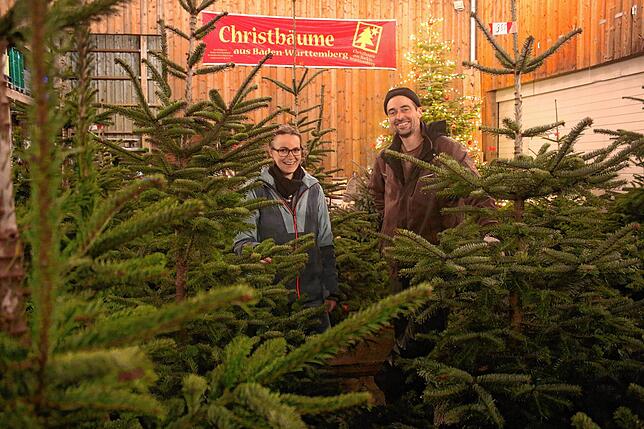 Bettina und Georg Arnold vom Obsthof Arnold in Kluftern mitten in ihren Weihnachtsbäumen. Dort gibt es neben dem Christbaumverkauf auch ...
