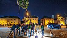 Statt Hemdglonker: Narrenbaumstellen vor dem Froschenbrunnen in Radolfzell.