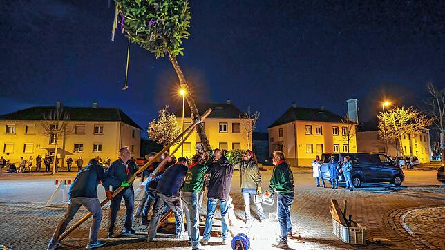Statt Hemdglonker: Narrenbaumstellen vor dem Froschenbrunnen in Radolfzell.