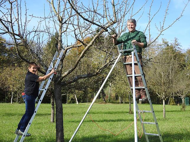 Michaela Berthold-Sieber und Edgar Koller vom Obst- und Gartenbauverband Hochrhein geben Einblicke in die Baumpflege von alten ...