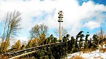 Überall im Stadtwald von Villingen-Schwenningen lagen nach dem Orkan Lothar zahlreiche umgestürzte Bäume. Das Bild ist im Dezember 1999 ...