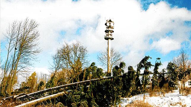 Überall im Stadtwald von Villingen-Schwenningen lagen nach dem Orkan Lothar zahlreiche umgestürzte Bäume. Das Bild ist im Dezember 1999 ...