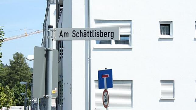 Bild : Sommerserie Meine Straße: Am Schättlisberg in Überlingen