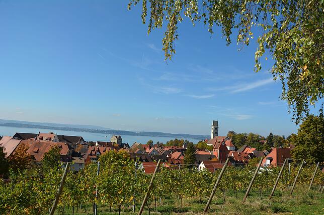 Blick vom Fürstenhäusle auf die dazugehörigen Reben und auf Meersburg.