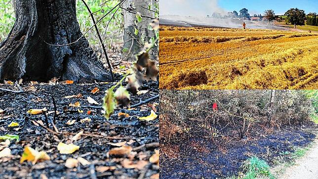 Immer öfter brennt um Bad Säckingen und in der Region die Vegetation.