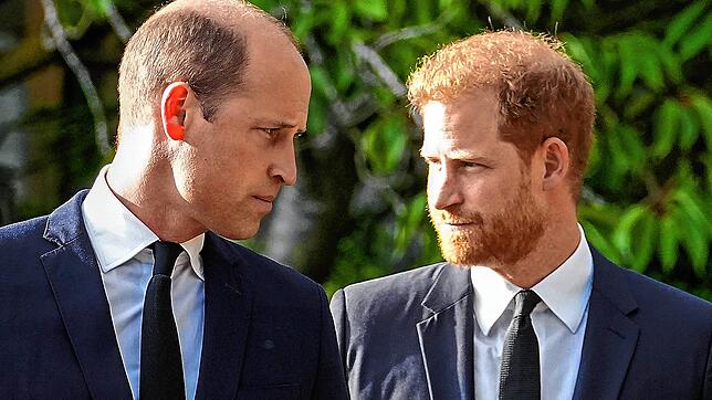 Prinz William (l) und sein Bruder Prinz Harry gehen nebeneinander, nachdem sie die Blumengrüße für ihre verstorbene Großmutter vor ...