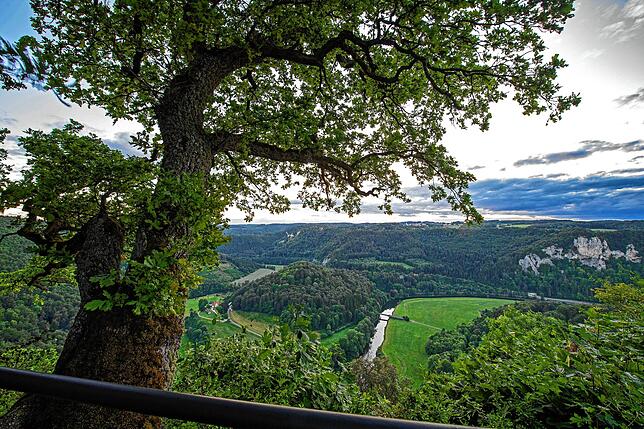 Blick in den Naturpark Obere Donau von der Burg Wildenstein aus.