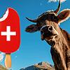 Bild :