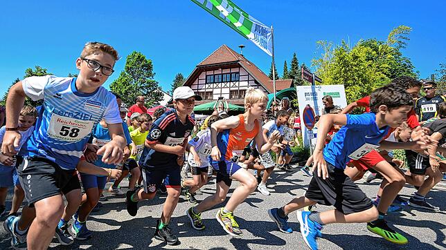 Start zum Lauf der Jungen beim Schienerberglauf im vergangenen Jahr. Am 30. Juni ist es wieder so weit: Bis zu 700 Läufer werden auf den ...