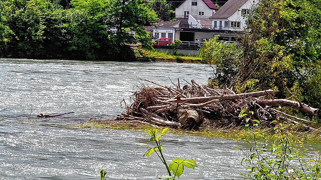Treibgut: Im Rhein bei Waldshut hat sich inzwischen ganz schön was angesammelt. Die Lage ist aber trotz Hochwassers am Bodensee bislang ...