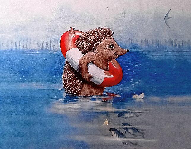 Und die Felchen staunen: Mit weißrotem Schwimmring und guter Laune – so geht der See-Igel im Untersee baden.