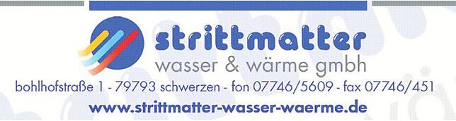 Bild 5: Narrentreffe der Narrenzunft Gwaag in Schwerzen: Alemannische Straßenfasnacht pur
