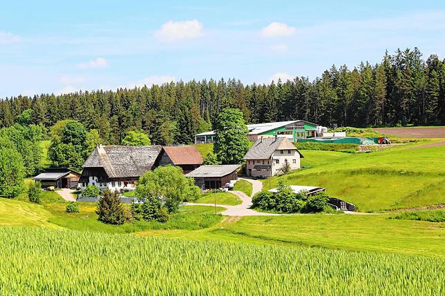 Oberhalb von Unterkirnach liegt geschützt in einer Talmulde der Hinterwasenhof. Unten links der alte Walmdachhof mit dem vor 20 Jahren ...