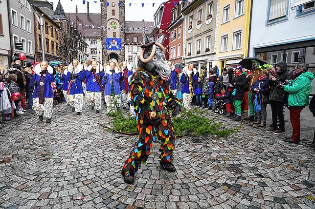 Bild 29: Alle Bilder vom großen Umzug in Villingen am Dienstag (2)