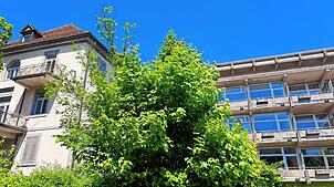 Hier sollen bald Menschen wohnen. Das alte Krankenhaus Wehr soll zum Leben erweckt werden.