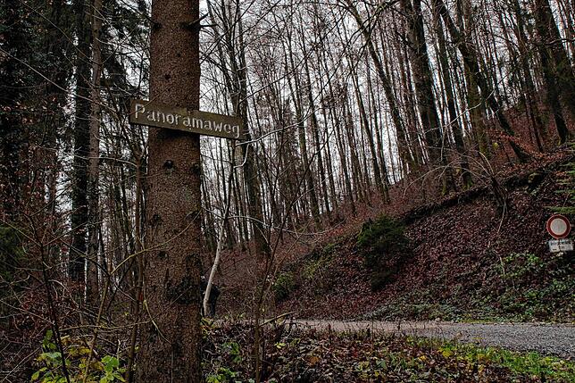 Der Panoramaweg verläuft oberhalb der bewohnten Fläche auf dem Haspel.