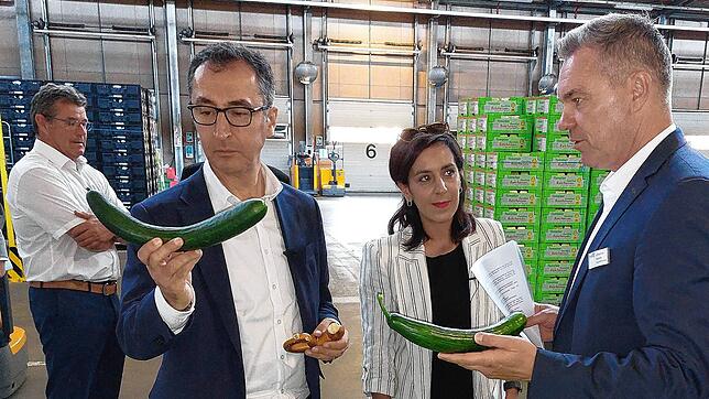 Baffer Minister, so krumm kann eine Gurke sein: Auch diese wird vermarktet &ndash; als Handelsklasse zwei zu einem Kilopreis, erklärt ...
