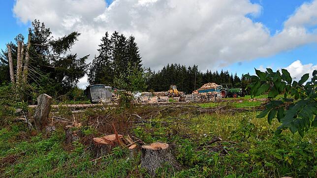 Als völlig unzumutbar betrachten viele die aktuellen Zustände am Ortsende des Sommerbergs in Richtung Burgberg. Bild: Albert Bantle