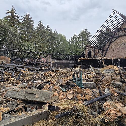 Feuer in Eriskirch: 40 Rinder verenden in brennender Scheune