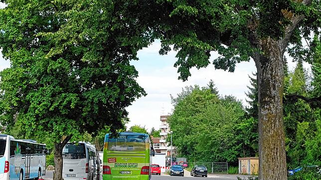 Vom Reisebusparkplatz in Richtung Feuerwache soll nach Vorstellungen der Stadt ein Hotel entstehen. Die Linde muss dabei als ...
