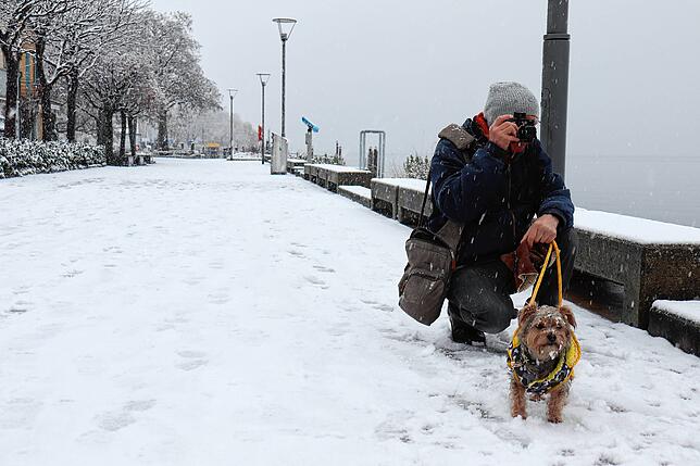 Bild 24: Das kommt so bald nicht wieder: Neue Bilder aus dem Winterwunderland rund um Überlingen und Salem